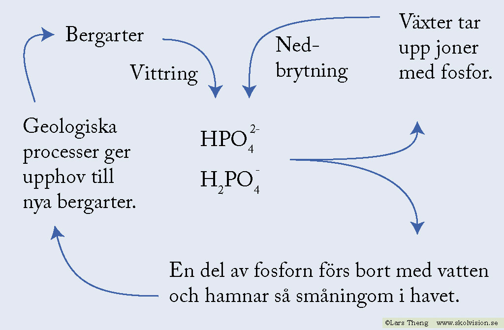 9 Fosfo