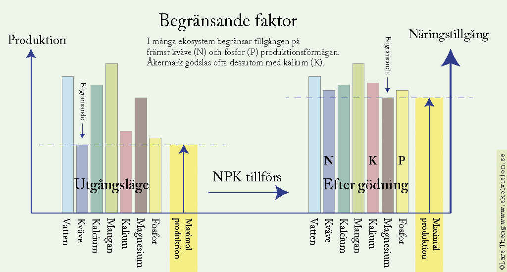 12 Begränsande faktorerLimitfaktorer