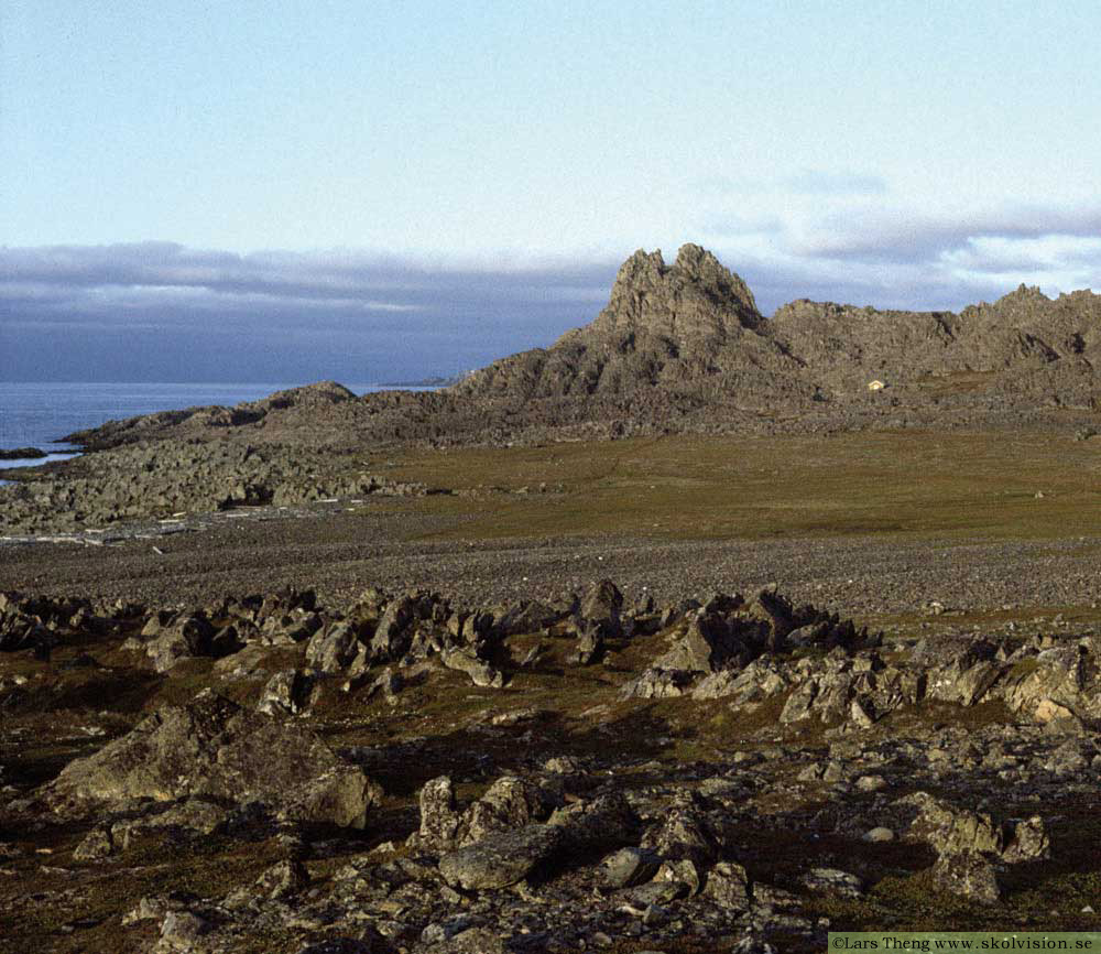 24 Varanger