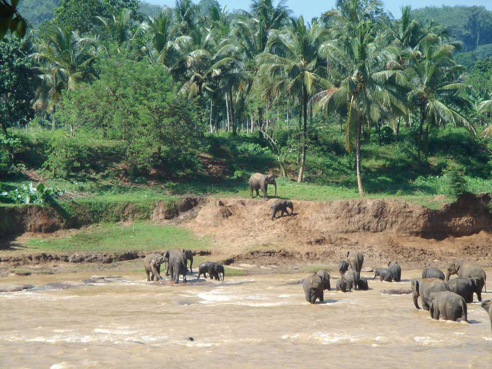 5 Sri Lanka