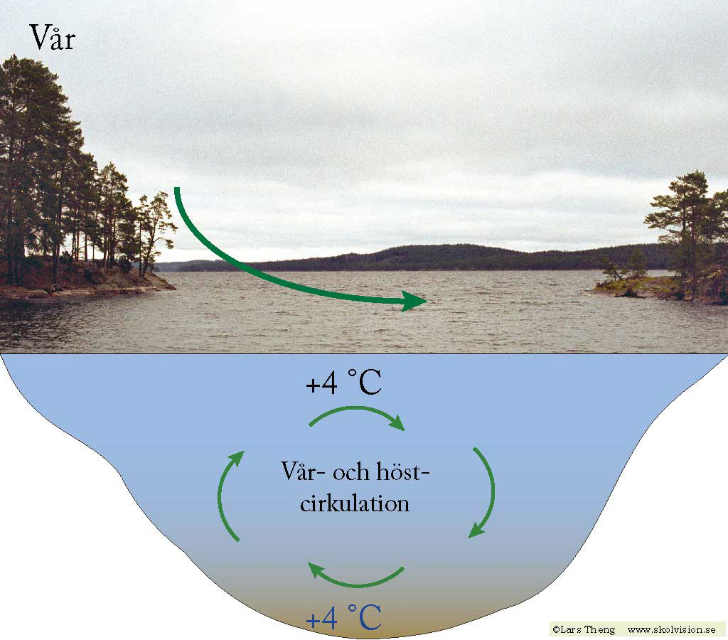 2 Vår och höst
