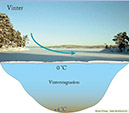 1 Vinter