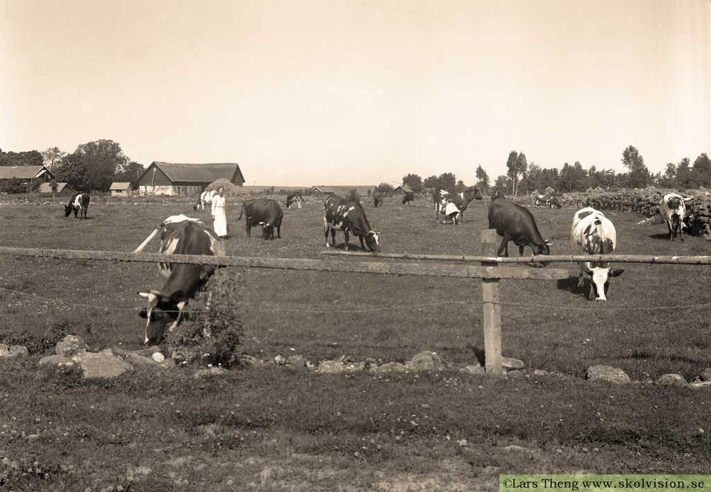 3 1935