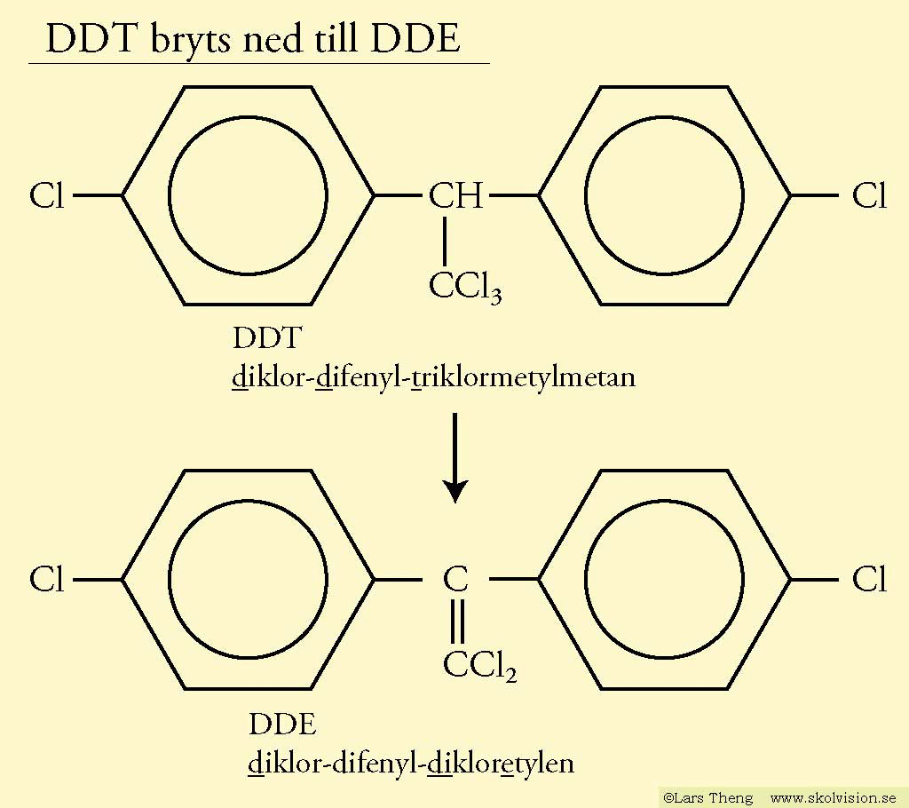 7 DDT-och-DDE