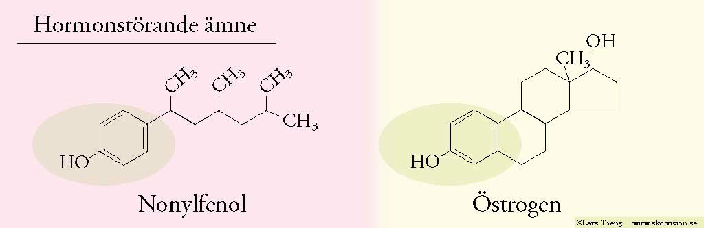 10 Nonylfenol