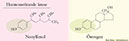 10 Nonylfenol