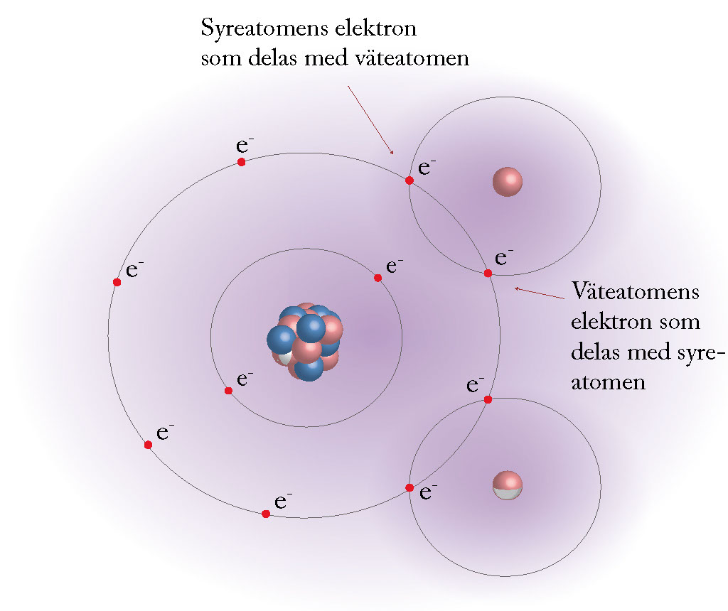 7 Molekylmodell-vatten