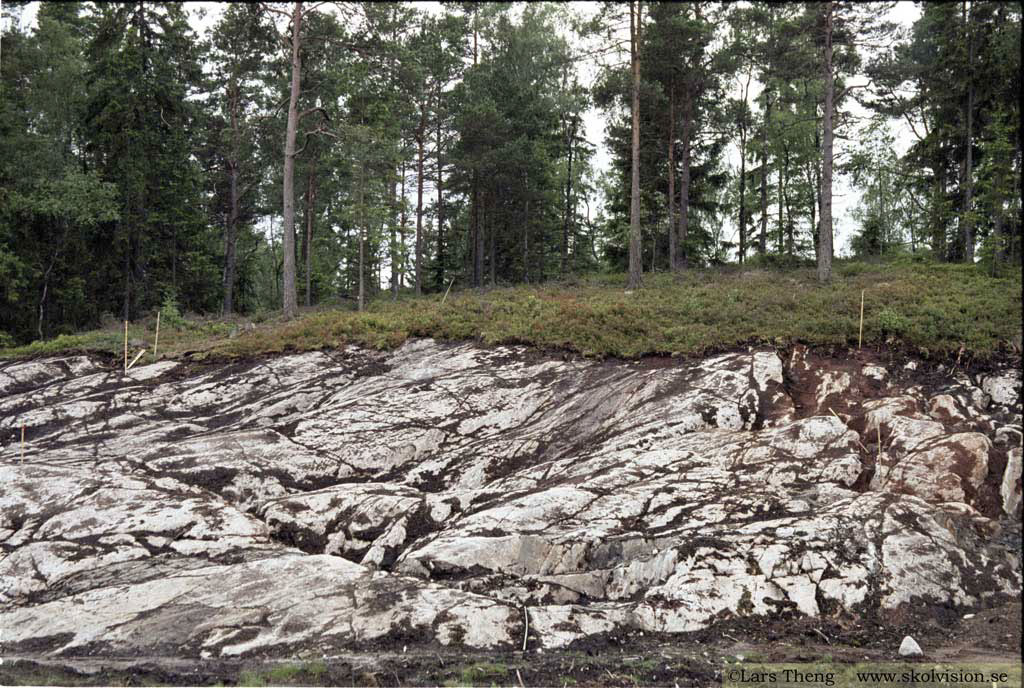 2-F2002-13-Häll-Väne-Ryr