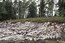 2-F2002-13-Häll-Väne-Ryr