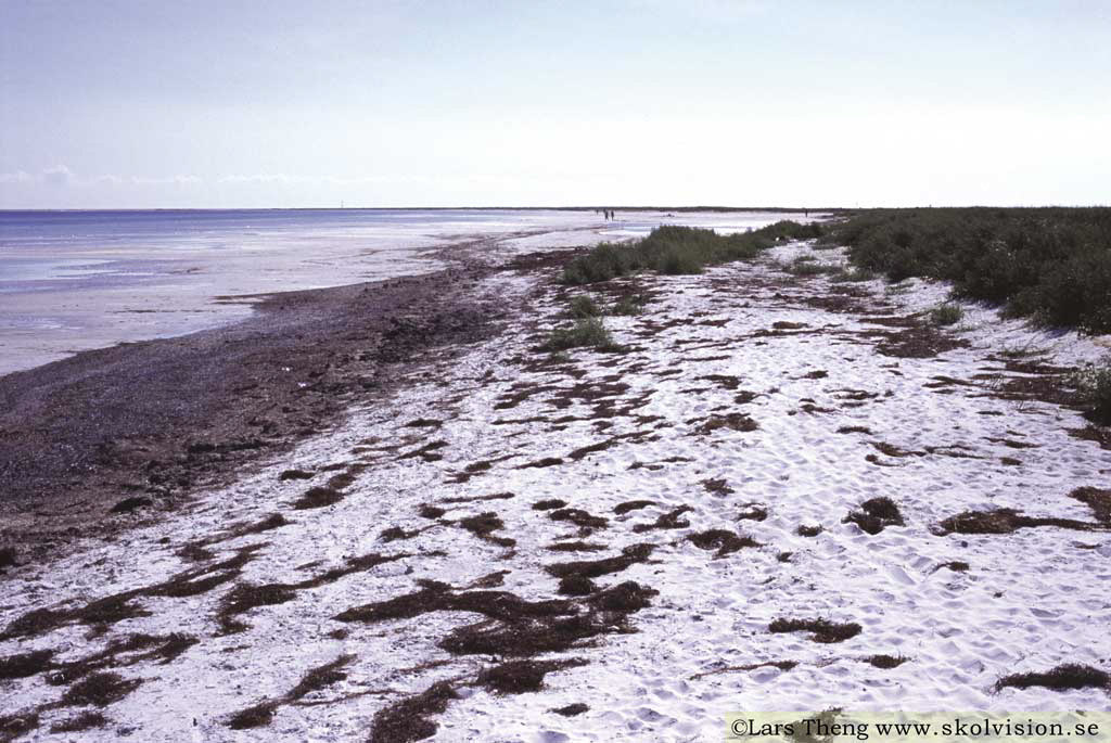 18 Falsterbo
