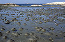3 strand med sandmask